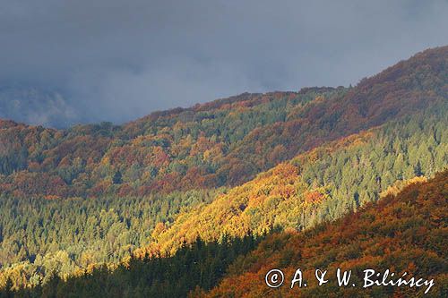 W chmurach, poranek na Wetlińskiej, Bieszczady