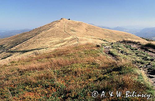 Bieszczady połonina Wetlińska