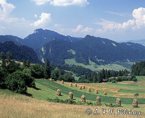 Pieniny, widok z Palenicy na Sokolnicę