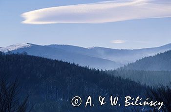 widok z Rówinicy na Beskid Śląski