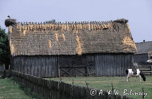 wieś Koty koło Łomży nad Narwią