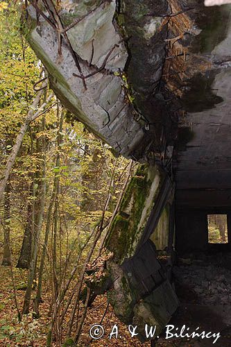 Wilczy Szaniec koło Kętrzyna, Mazury