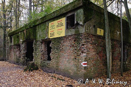 Wilczy Szaniec koło Kętrzyna, Mazury