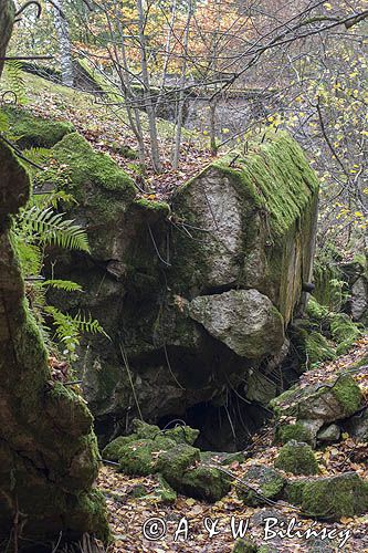 Wilczy Szaniec koło Kętrzyna, Mazury