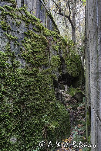Wilczy Szaniec koło Kętrzyna, Mazury