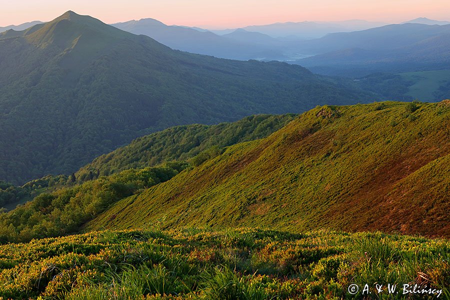 o świcie na Połoninie Wetlińskiej, Bieszczady