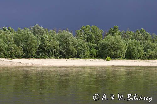 Środkowa Wisła, łachy