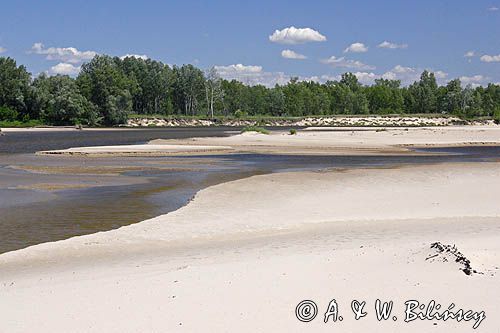 Środkowa Wisła, łachy