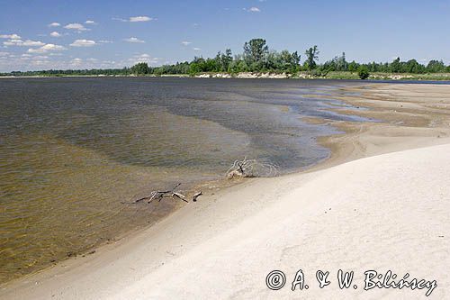 Środkowa Wisła, łachy