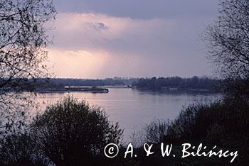 Wisła koło Janowca