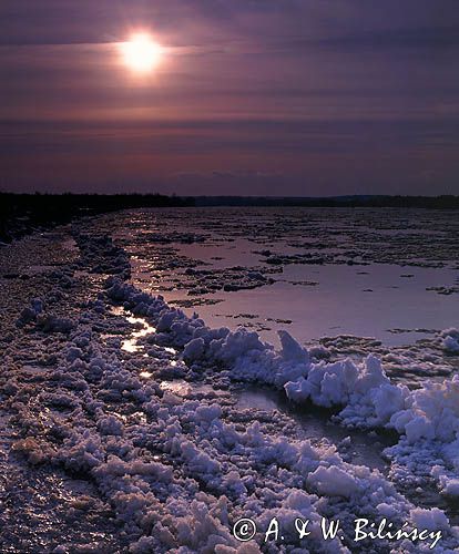 zima nad rzeką Wisłą koło Józefowa