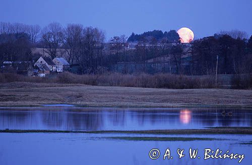 Wizna nad Narwią, zachód księżyca