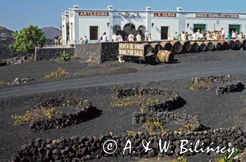 Wyspy Kanaryjskie, winiarnia w La Geria, Lanzarote