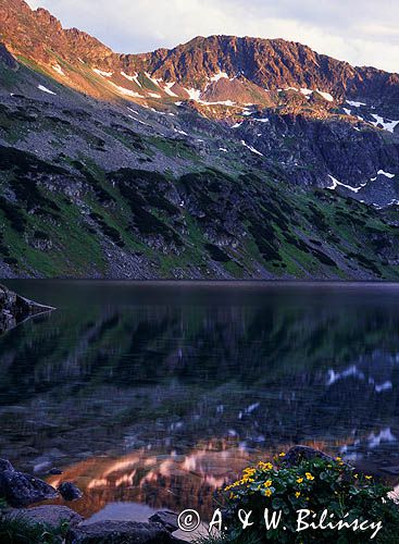 Wielki Staw Polski, Dolina Pięciu Stawów Polskich, Tatry, Tatrzański Park Narodowy