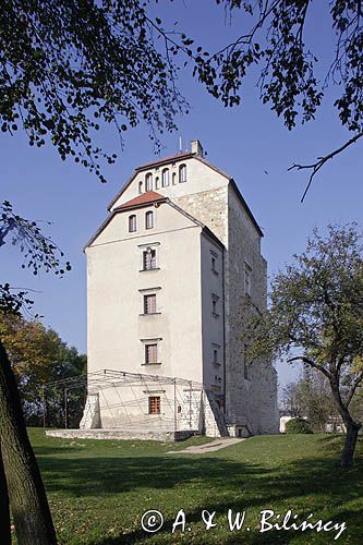 Zamek - Wieża Ariańska z pocz.XVI wieku, Wojciechów / koło Nałęczowa/