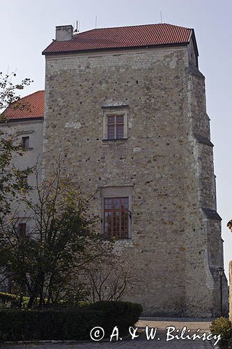 Zamek - Wieża Ariańska z pocz.XVI wieku, Wojciechów / koło Nałęczowa/