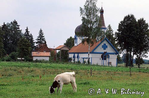 Wojnowo, cerkiew, Mazury