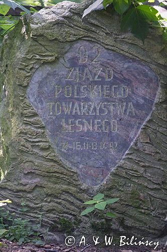 tablica pamiątkowa zjazdu leśników, Woliński Park Narodowy, Wyspa Wolin, deptak
