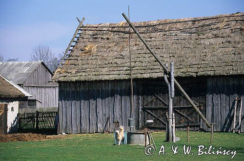 Wólka Drążdżewska, Kurpie, studnia żuraw