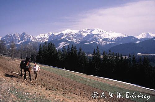 Tatry i Podhale w Płazówce