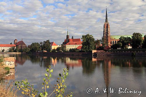 Wrocław, Ostrów Tumski, rzeka Odra, katedra
