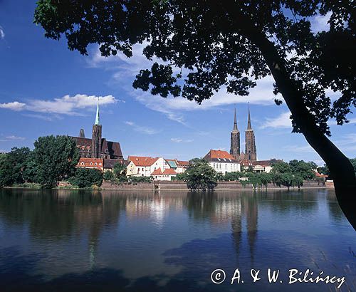 Wrocław, Ostrów Tumski, Katedra i kościół św. Krzyża