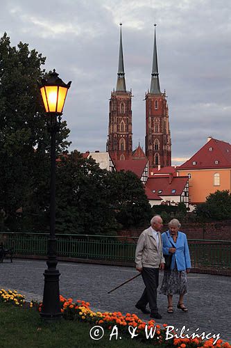 Wrocław, widok z Wyspy Piasek na Archikatedrę