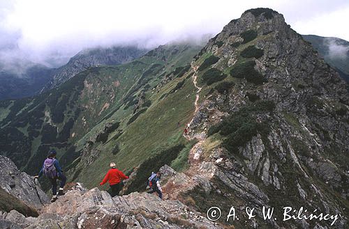 TPN, droga na Czerwone Wierchy, Tatry