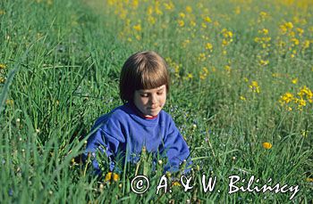 dziewczynka na łące w trawie
