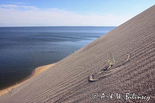 Neringa, Wydma na Mierzei Kurońskiej, Zalew Kuroński, Park Narodowy Mierzei Kurońskiej, Litwa Neringa, diunes, Curonian Spit, Coronian Lagoon, Curonian Spit National Park, Lithuania