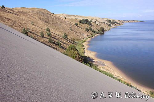 Neringa, Wydma na Mierzei Kurońskiej, Zalew Kuroński, Park Narodowy Mierzei Kurońskiej, Litwa Neringa, diunes, Curonian Spit, Coronian Lagoon, Curonian Spit National Park, Lithuania