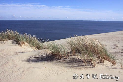 Neringa, Wydma na Mierzei Kurońskiej, Zalew Kuroński, Park Narodowy Mierzei Kurońskiej, Litwa Neringa, diunes, Curonian Spit, Coronian Lagoon, Curonian Spit National Park, Lithuania