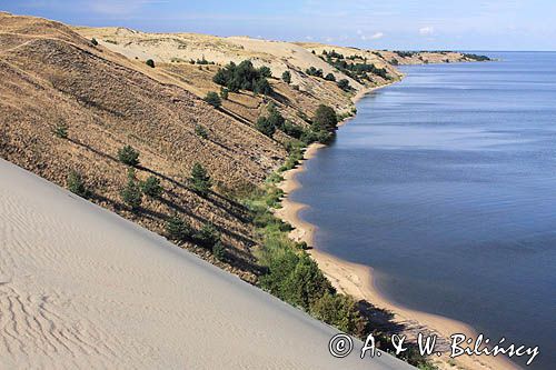 Neringa, Wydma na Mierzei Kurońskiej, Zalew Kuroński, Park Narodowy Mierzei Kurońskiej, Litwa Neringa, diunes, Curonian Spit, Coronian Lagoon, Curonian Spit National Park, Lithuania