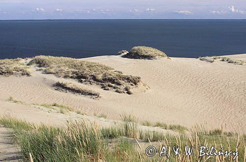 Neringa, Wydma na Mierzei Kurońskiej, Zalew Kuroński, Park Narodowy Mierzei Kurońskiej, Litwa Neringa, diunes, Curonian Spit, Coronian Lagoon, Curonian Spit National Park, Lithuania