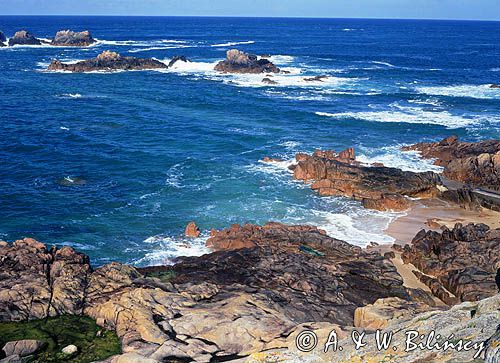 Wyspa Jersey i La Corbiere Point Channel Islands - Wyspy Normandzkie