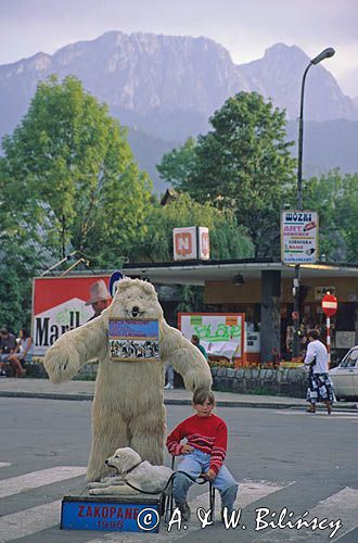 Tatry Zakopane pod Giewontem