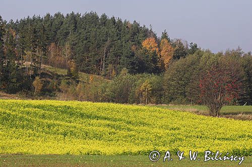 Park Krajobrazowy Wzgórz Dylewskich, Mazury