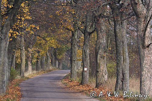 Park Krajobrazowy Wzgórz Dylewskich, Mazury