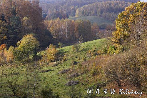 Park Krajobrazowy Wzgórz Dylewskich, Mazury