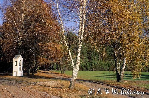 Zaborski Park Krajobrazowy, kapliczka przydrożna