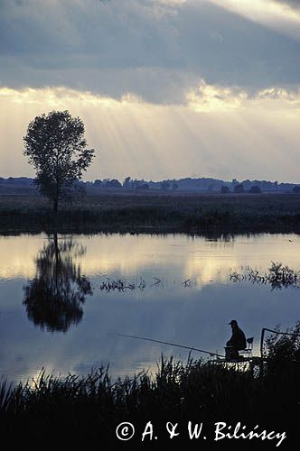 wędkarz o zachodzie słońca