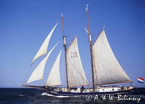 żaglowiec De Gallant podczas wchodzenia do portu, Zlot żaglowców w roku 2007 w Szczecinie, Tall Schip Races