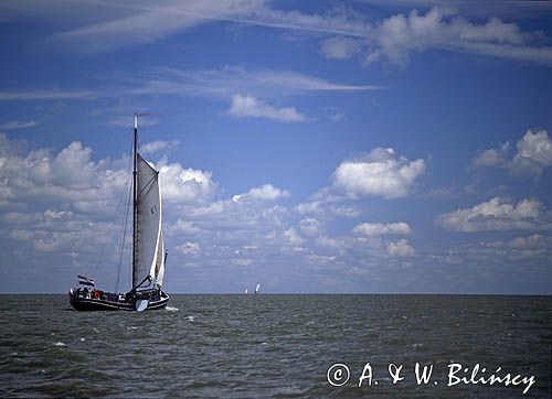 Barka holenderska na Waddensee, Morze Północne, Holandia