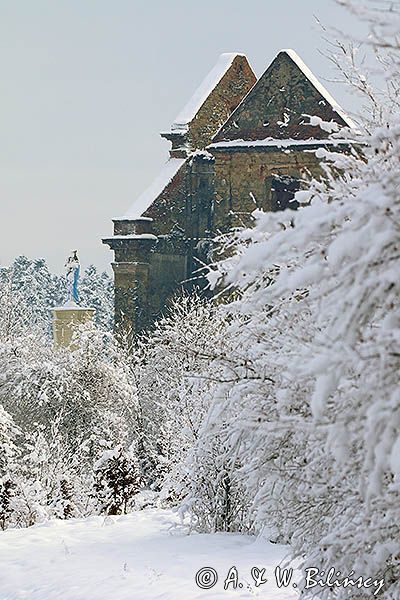 Ruiny klasztoru Karmelitów Bosych w Zagórzu