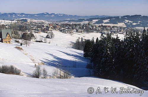 Zakopane, panorama, zima, Podhale i Tatry, widok na Gubałówkę