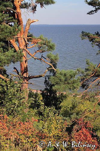 Zalew Kuroński, Mierzeja Kurońska, Nida, Neringa, Litwa Curonian Spit, Curonian Lagoon, Neringa, Nida, Lithuania