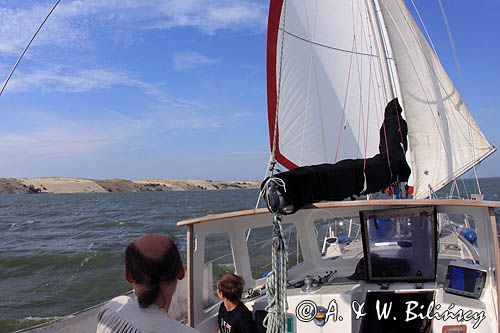 Safran na Zalewie Kurońskim, wydmy Mierzei Kurońskiej, Neringa, Litwa Curonian Spit, Curonian Lagoon, Neringa, Lithuania