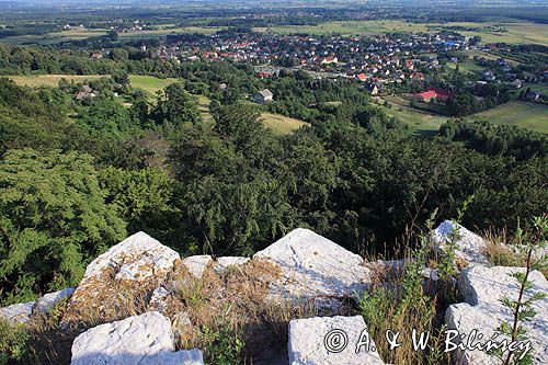 Zamek Lipowiec, Babice