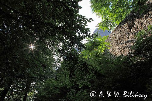 Zamek Lipowiec, Babice