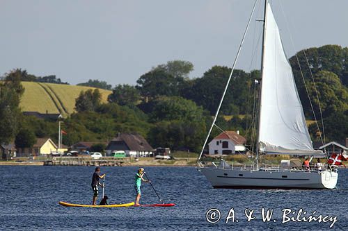 na desce zamiast bączka, Dybvig Bugt, Jutlandia, Mały Bełt, Dania, Stand up paddle boarding